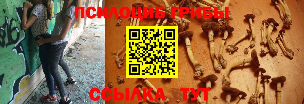 Псилоцибиновые грибы MAGIC MUSHROOMS  Вход с VPN  Среднеуральск 